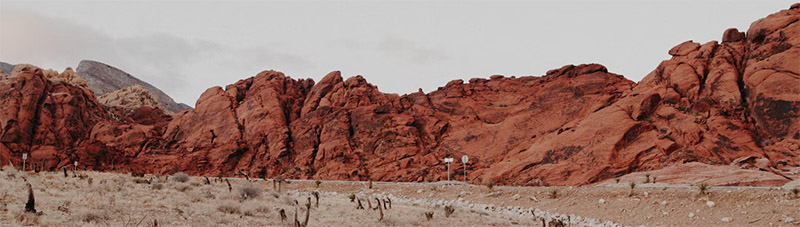 brown desert landscape